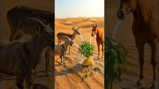 Download lagu Pohon Mangga Ajaib 🌳 | Cerita Pendek yang Menyentuh Hati | Cerita Moral 30 Detik mp3