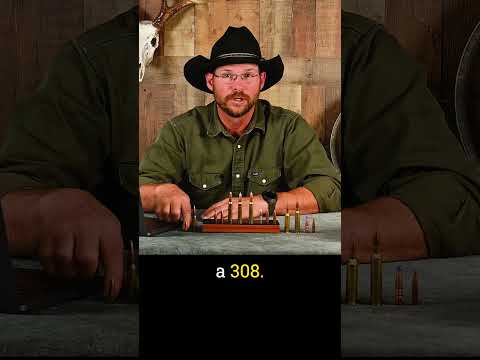 The Best Bullets for 30-06