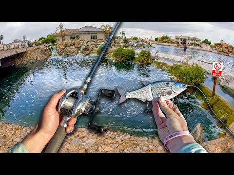 Pond Hopping Urban Private Ditches For Aggressive Bass — Casting Concrete PT3