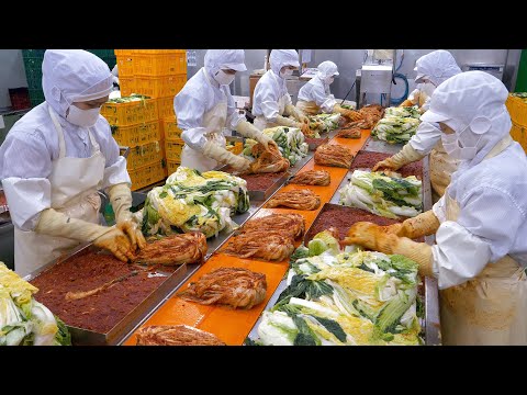 유명 대기업이 선택한 30년 전통의 김치! 한국의 김치 공장 / Amazing Korean kimchi factory