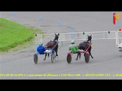 Prova di qualifica del 11 Dicembre 2021 - 2 Anni - Metri 1600