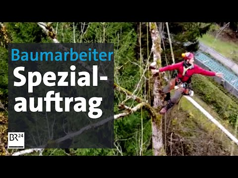 Baum fällen extrem: Spezialauftrag für Baumarbeiter | Abendschau | BR24