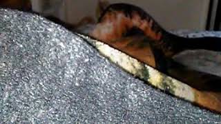 Tee coming soon with my saying Remember too put God first in all u do do it well!!😍