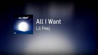 All I Want Music Video