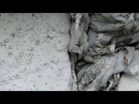 Tenants Kitchen Filled with Odorous House Ants in Neptune, NJ