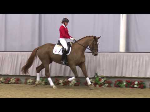 04 Viva Stute v. Vitalis - Ehrentusch - Florestan I