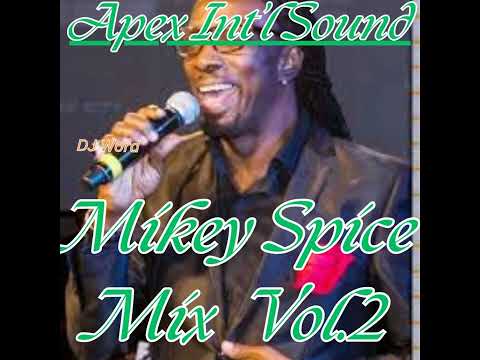 Mikey Spice Mix Vol 2