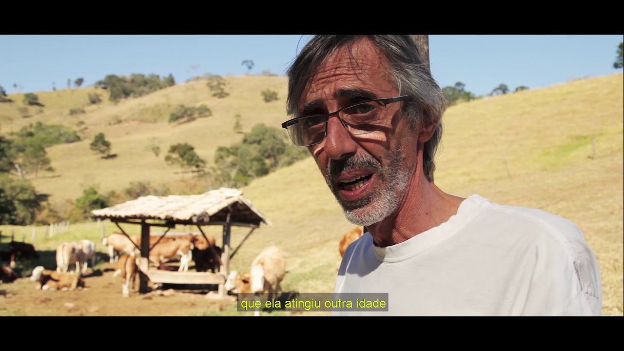 Pasture Management video lesson