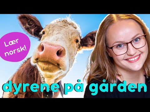 Dyrene på gården | Lær norsk | Farm animals in Norwegian