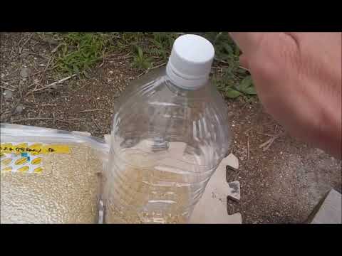 お米の真空パック保存はＮＧ