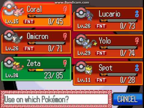 Pokemon Zeta: Part 25: Finishing Route 309