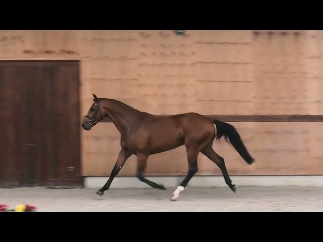 Gaits