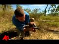 Chasing Danger For Science In Wild Recon