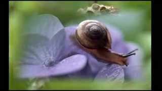 John Adorney  - The Potter's Gift