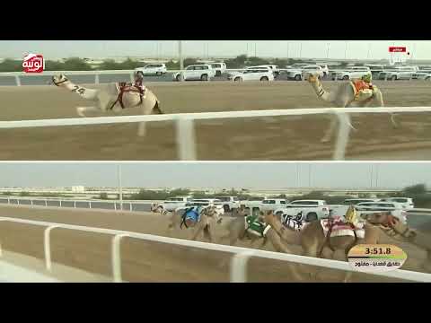 ش 6 (كرار) لـ حمد إبراهيم يوسف ال إبراهيم المعضادي 5:50:14 , مهرجان ختامي الشحانية 2026/04/20 حقايق