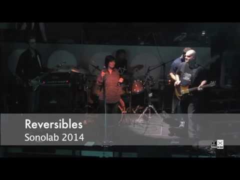 Reversibles - Rock in the free world