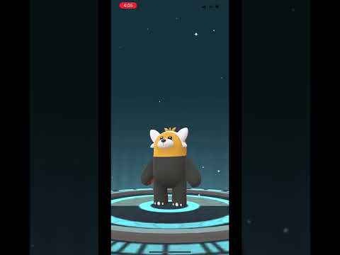 Stufful Community day Bewear