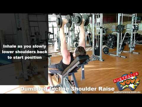 Dumbbell Incline Shoulder Raise