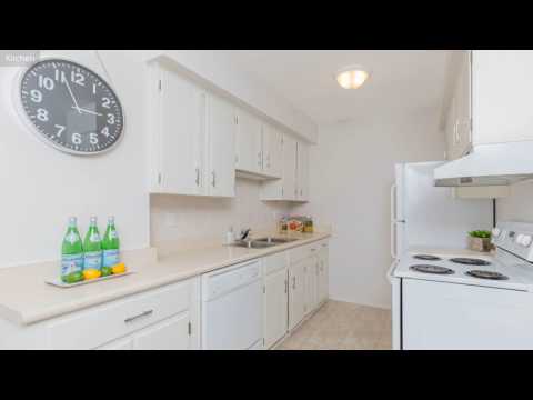 14 Village Court, Brampton ON L6W 1A6, Canada