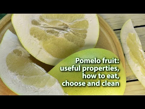 , title : 'Pomelo fruit useful properties, how to eat, choose and clean'