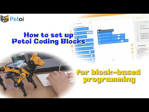 Set up the program - Petoi Coding Blocks Robotics Curriculum 00 - Robotics Coding for Beginners