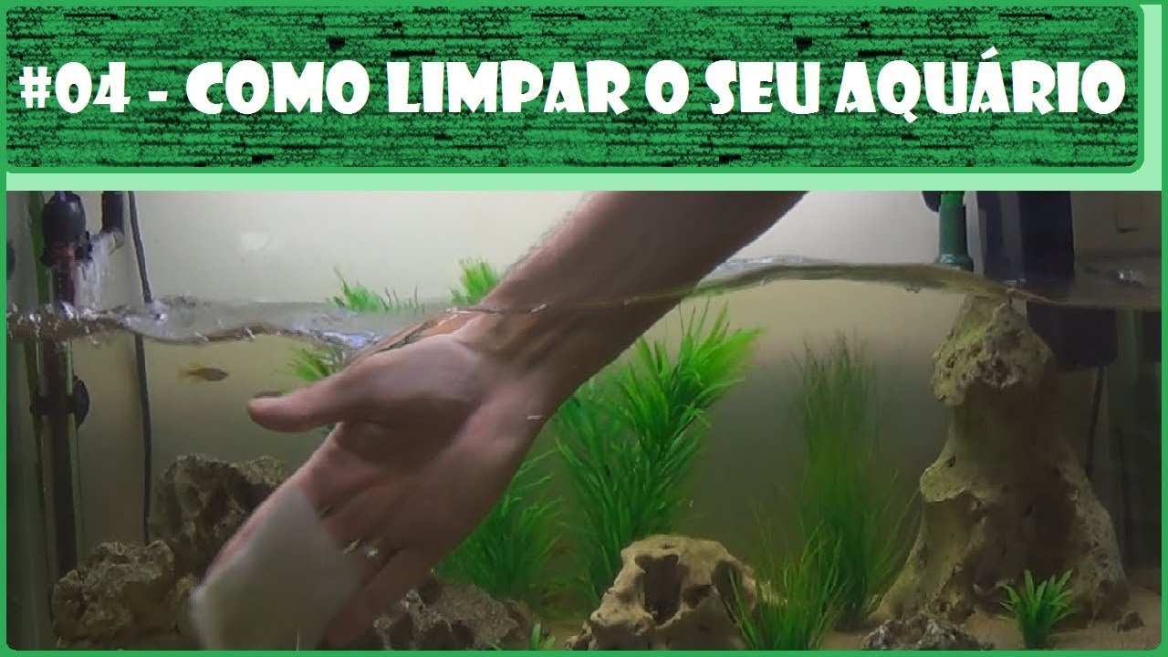 Como limpar o seu aquário - TPA