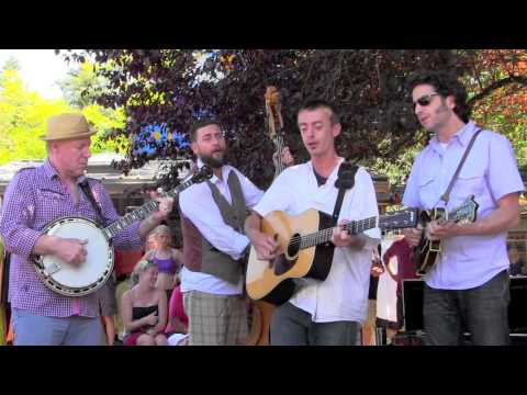 Ringside with the FOGGY HOGTOWN BOYS  [ 3 ] YOUR LOVE is like a FLOWER ✺