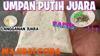 Download lagu CHAMPION-GRADE WHITE BAIT🔥Super killer bait for carp fishing tournaments and daily use🔥absolutely... mp3