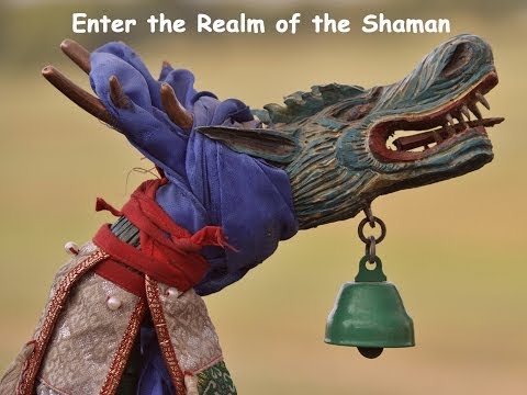 Enter the Realm of the Shaman