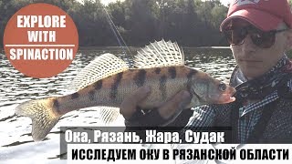 Ловля хищника на оке в рязанской области