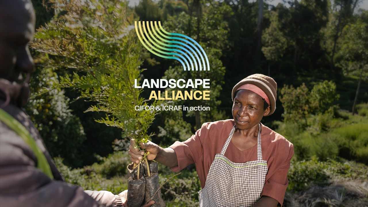 Introducing the Landscape Alliance: CIFOR & ICRAF in Action