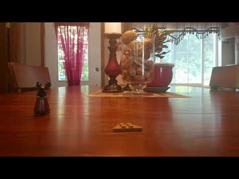 The Lego Ninjago Movie |Spinjitzu Training | 70606 | Stop Motion Unboxing!