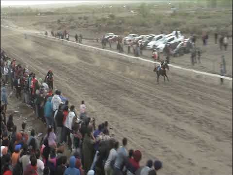 PADRINO Club Hípico Añelo - Domingo 29 de Septiembre de 2024