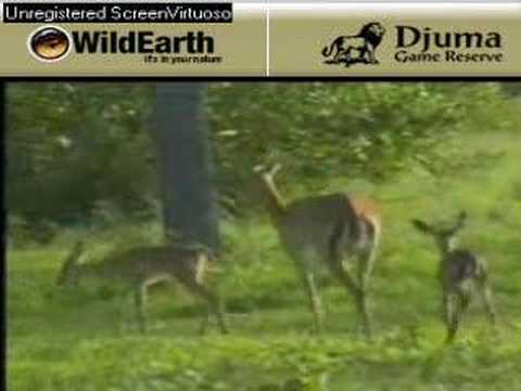 Sunset drive 112607-2