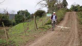 Miniatura do vídeo