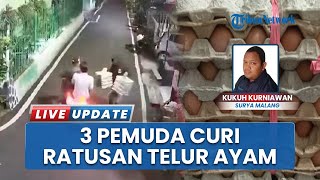 Terekam Kamera CCTV, 3 Pemuda Kompak Lakukan Pencurian Ratusan Telur Ayam di Kedungkandang Jatim