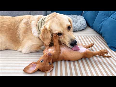 YouTube 썸네일