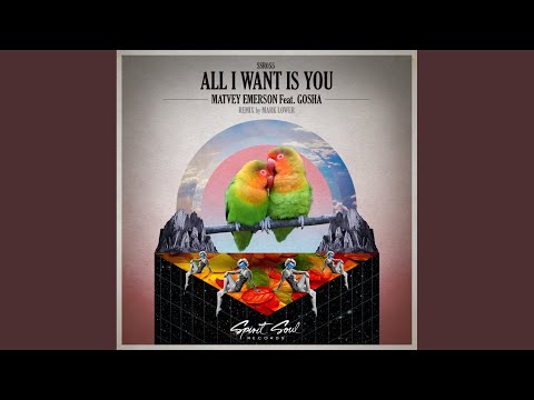 All I Want Is You (Original Mix)