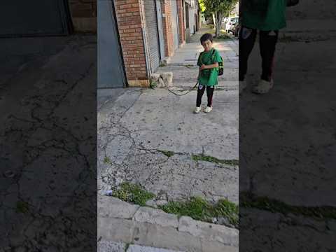 Gino sacando a pasear a Cuquito por calle Ayacucho al 3300 Olivos Provincia de Buenos Aires 23/11/25