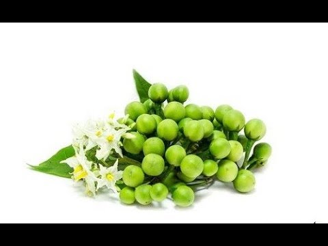 สเปรย์สำหรับการดำเนินการอย่างรวดเร็วชายแรง ความอ่อนแอข้าวสาลีถั่วงอก
