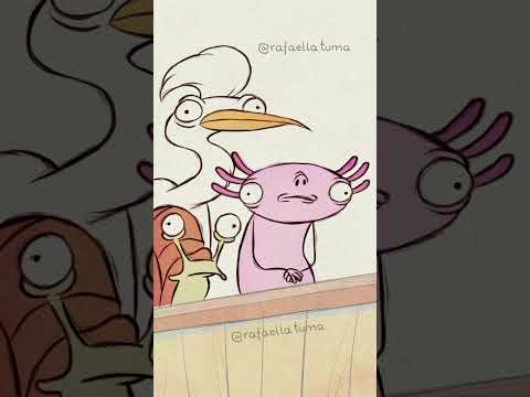 O Sapo não lava o pé
