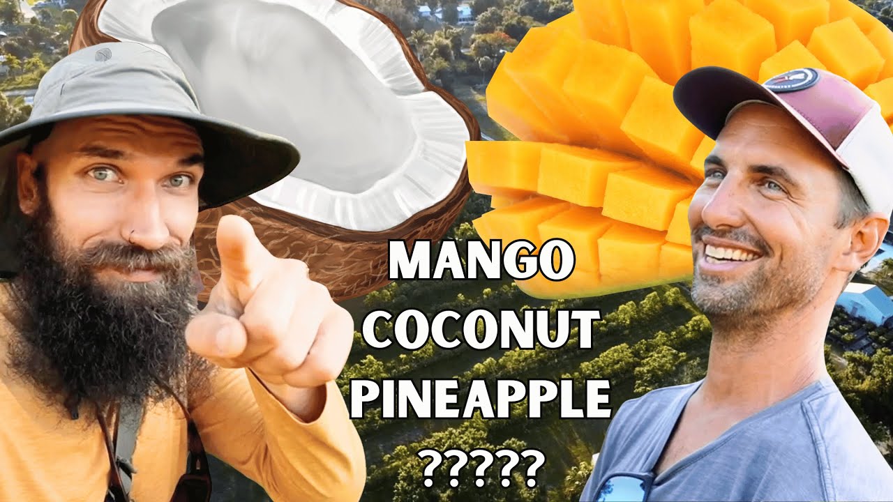 How to grow a LARGE SCALE Food Forest | What's Ripening