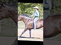 Mikey's at the end#horses #horse girl #horse riding #horse people #horse