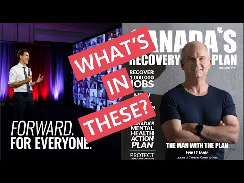 I Read the Liberal and Conservative Platforms So YOU Don't Have To! 2021 Canadian Election