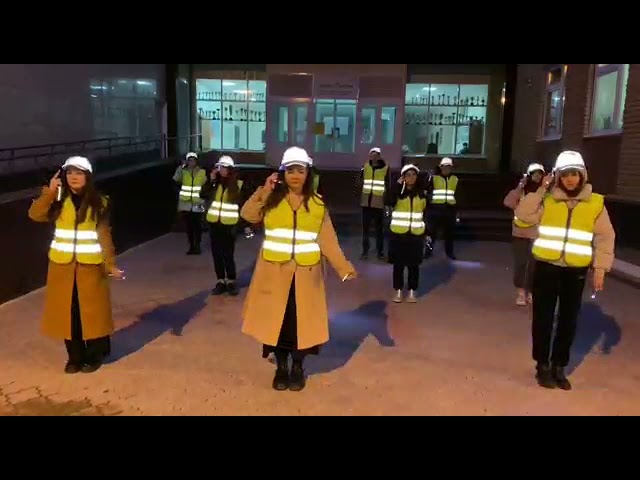 ?Татарстанские школьники приняли участие во флэш-мобе «Засветись! Будь ярче на дороге!»