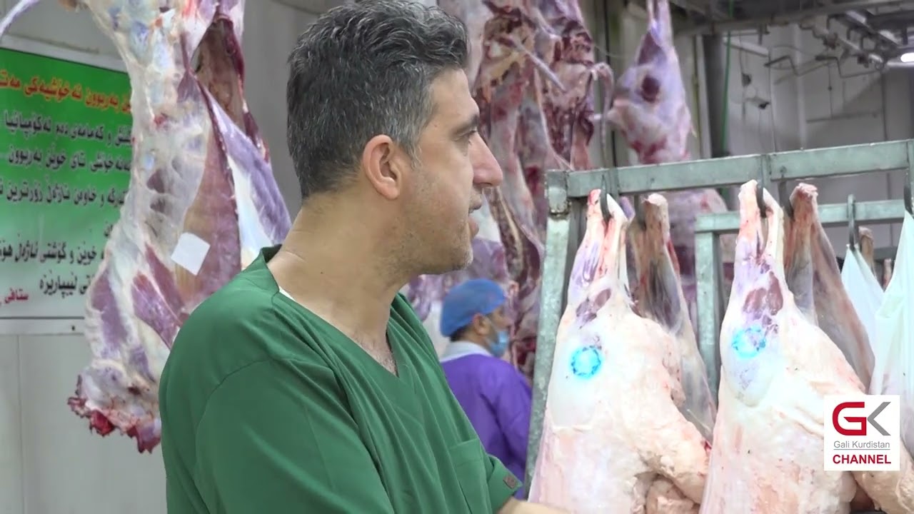ڤیدیۆ | سەربڕینی ئاژەڵ لە شوێنە گشتییەكانی سلێمانی بەرەو نەمان دەچێت