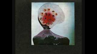 Beck - Venus in Furs (The Velvet Underground cover)