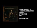 Robert Bradley's Blackwater Surprise - Profile [Custom Instrumental]