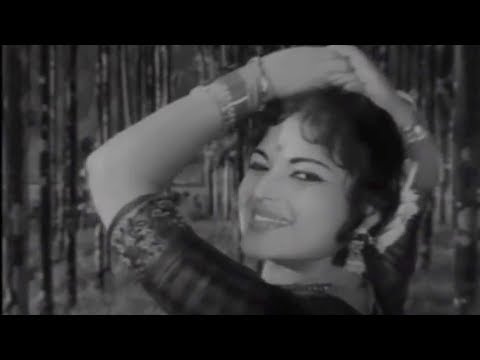 தேனடி மீனடி | Thenadi Meenadi | T. M. Soundararajan, P. Susheela Hit Song