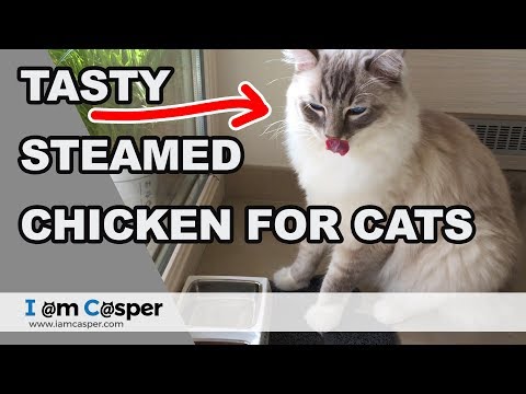 How to make homemade food our cats love in 5 min (steamed chicken)